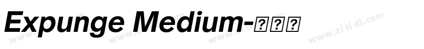Expunge Medium字体转换